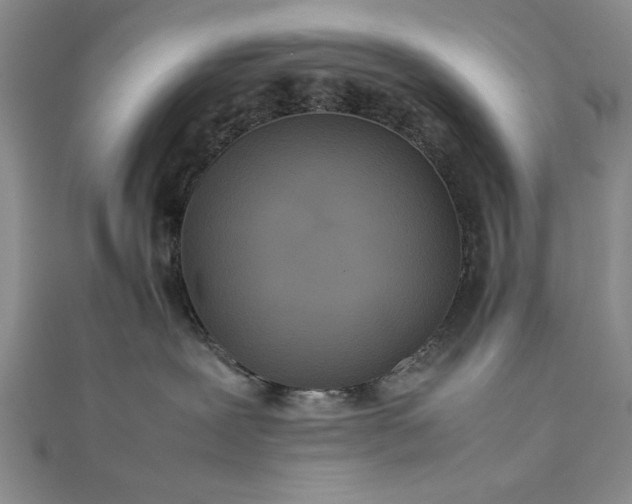 X0000111840239200908061300