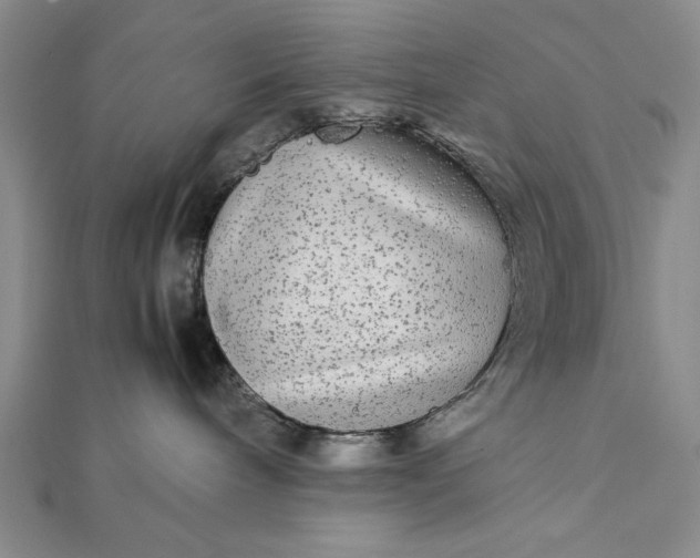 X0000111840240200908061300