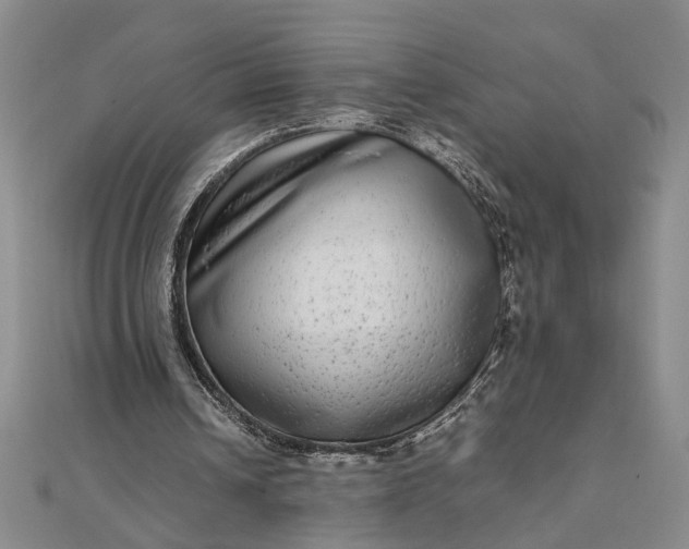 X0000111840242200908061259