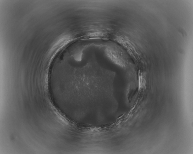 X0000111840243200908061259