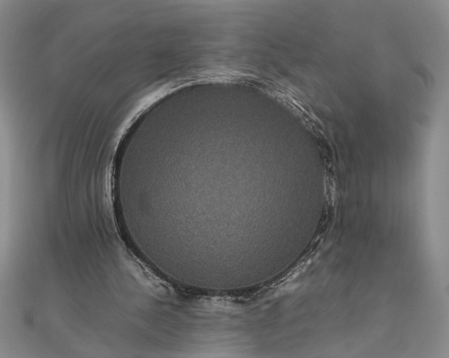 X0000111840244200908061259