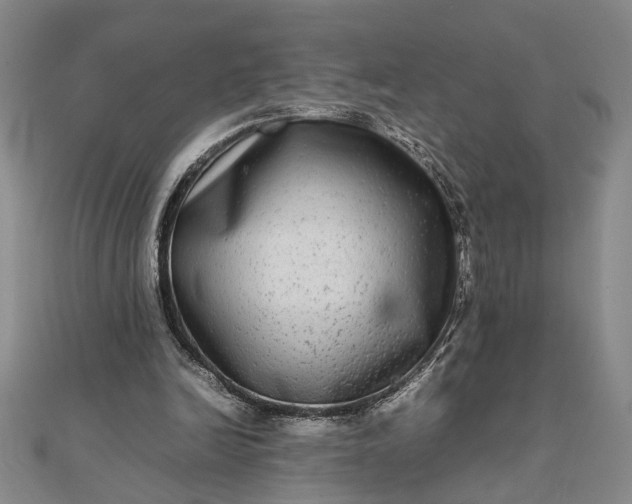 X0000111840246200908061259