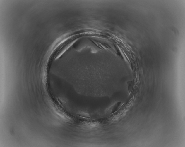 X0000111840247200908061259