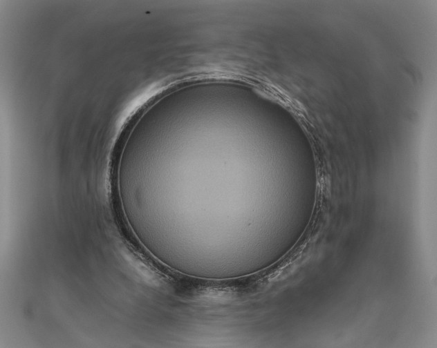 X0000111840248200908061259