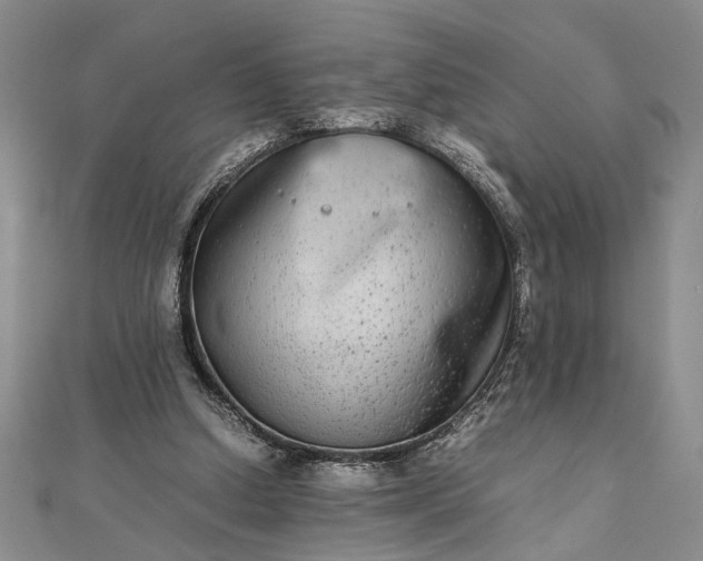 X0000111840250200908061259