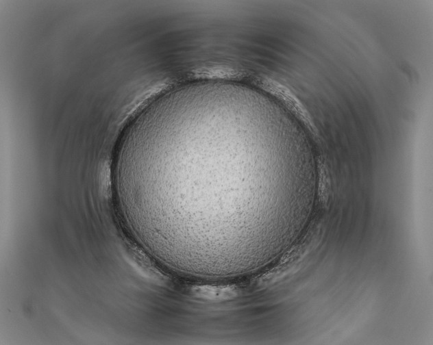 X0000111840251200908061259