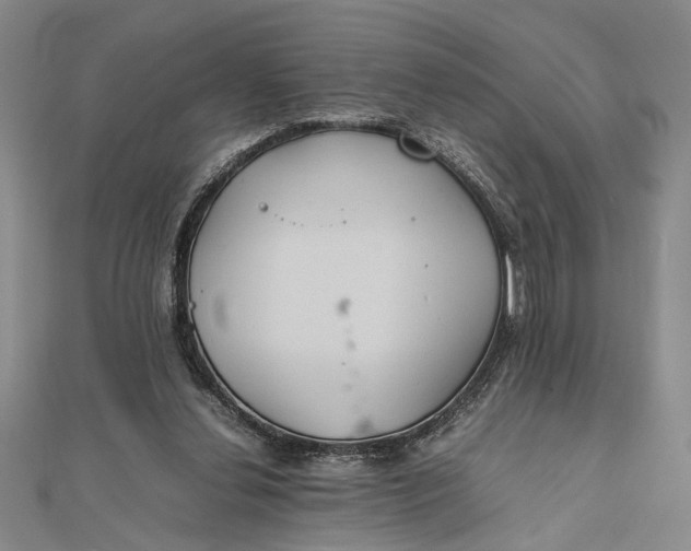 X0000111840252200908061259