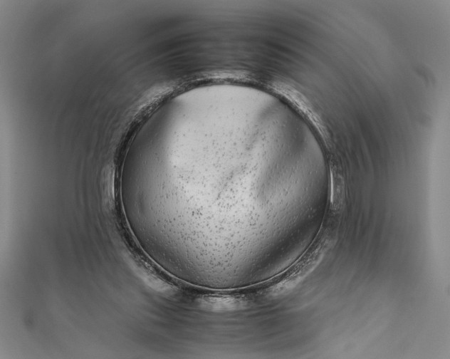 X0000111840253200908061259