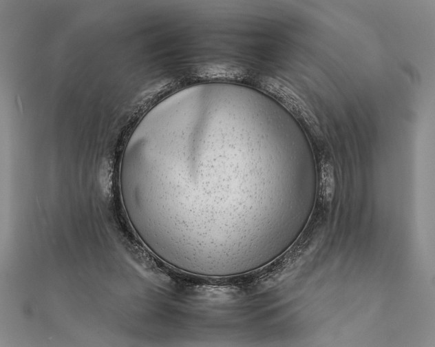 X0000111840255200908061259