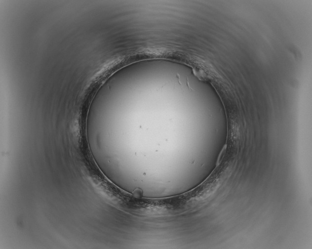 X0000111840256200908061259