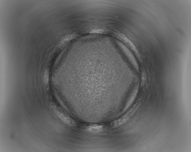 X0000111840257200908061259