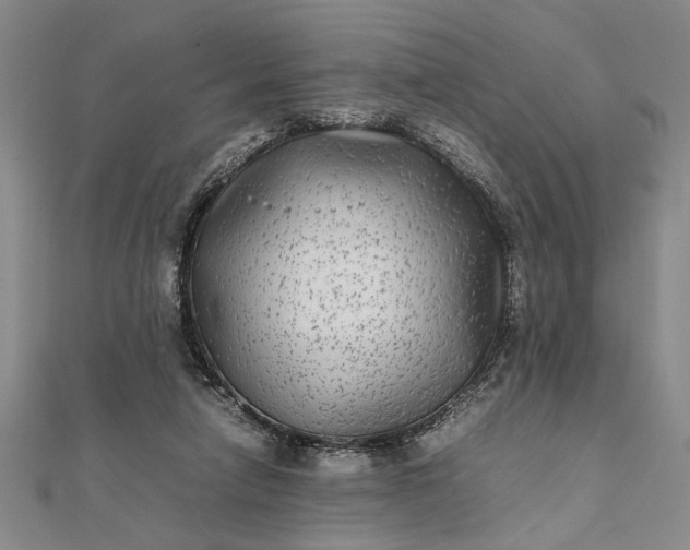 X0000111840258200908061259