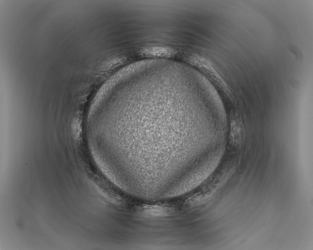 X0000111840259200908061259