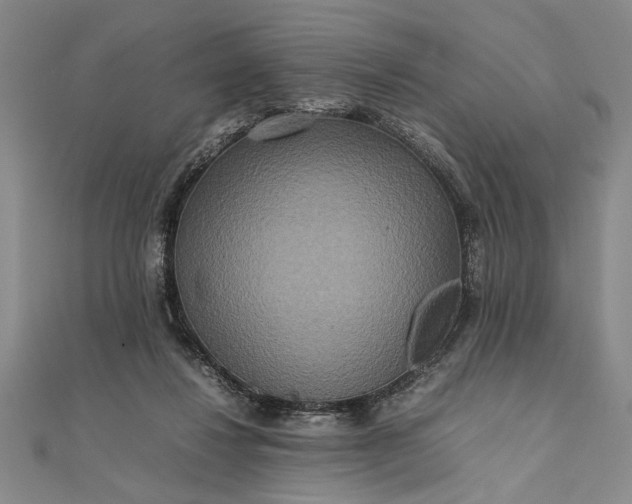 X0000111840260200908061259