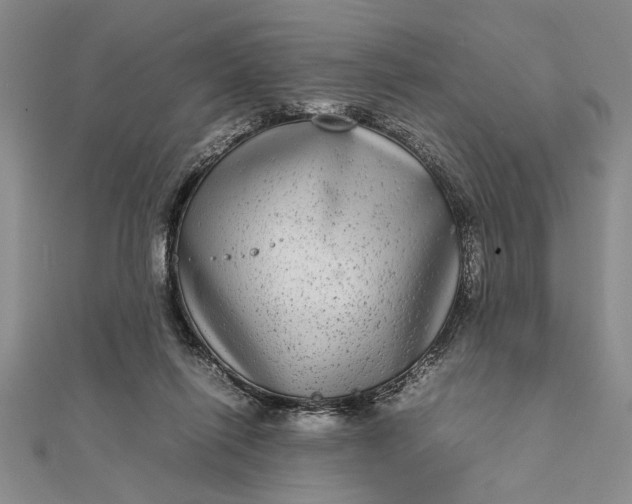 X0000111840262200908061259