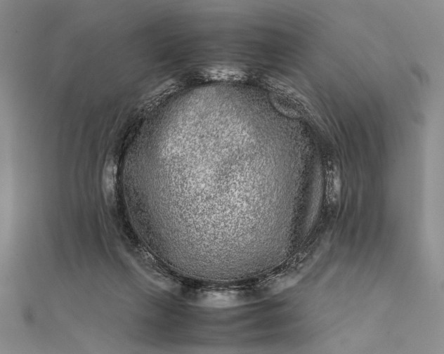 X0000111840263200908061259