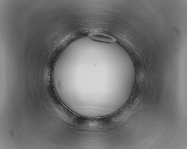 X0000111840264200908061259