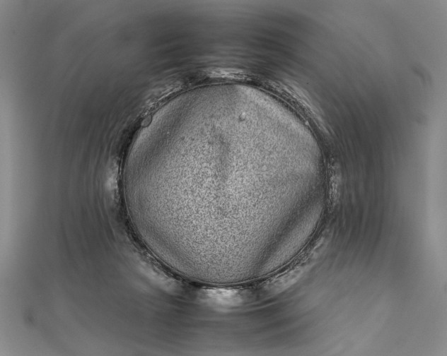 X0000111840265200908061259