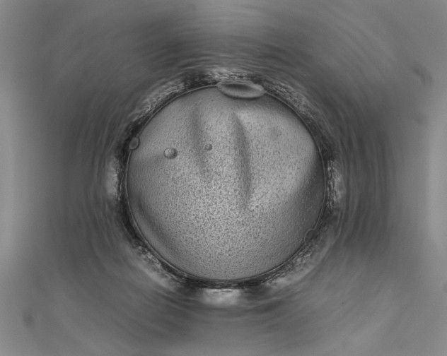 X0000111840266200908061259