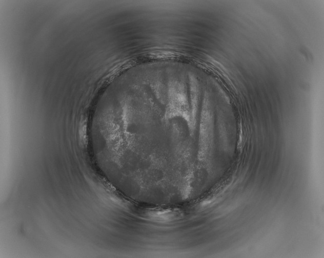 X0000111840267200908061259