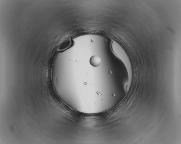 X0000111840268200908061259