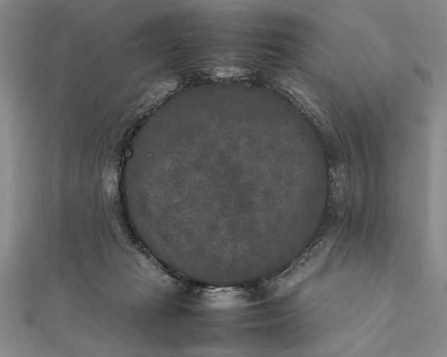 X0000111840269200908061259