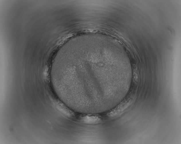 X0000111840270200908061259