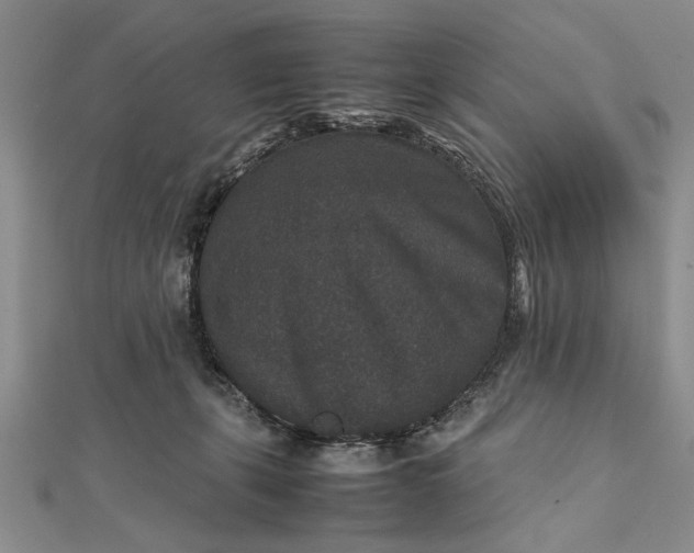 X0000111840271200908061259