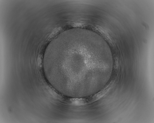 X0000111840273200908061259