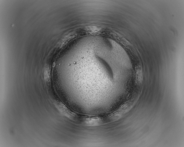 X0000111840274200908061259