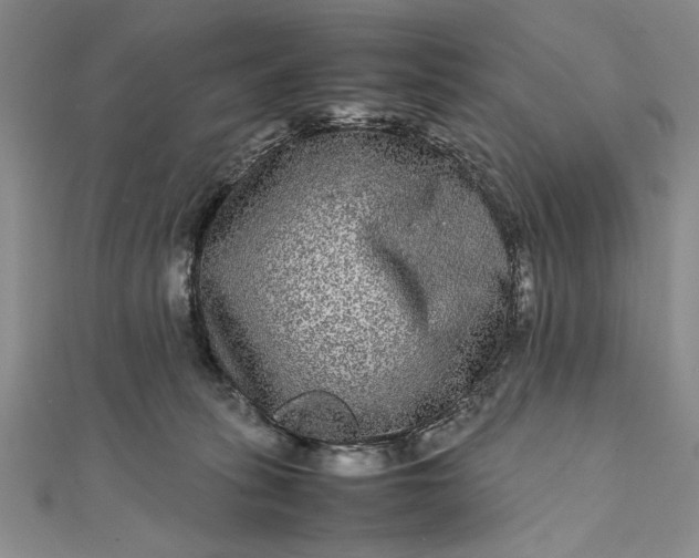 X0000111840275200908061259