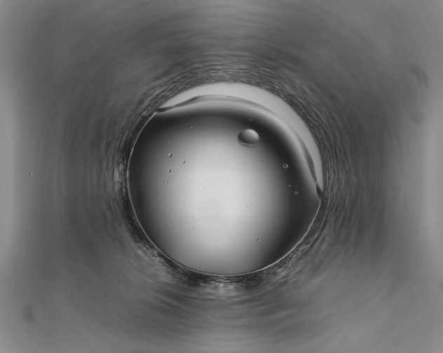 X0000111840276200908061259