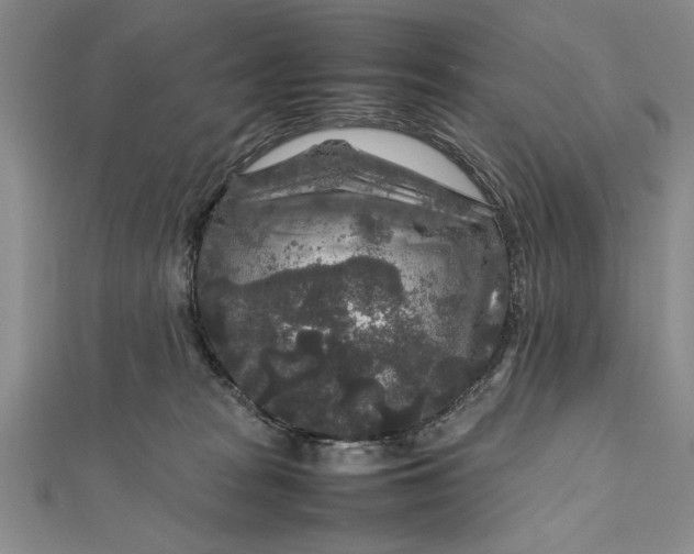 X0000111840277200908061259