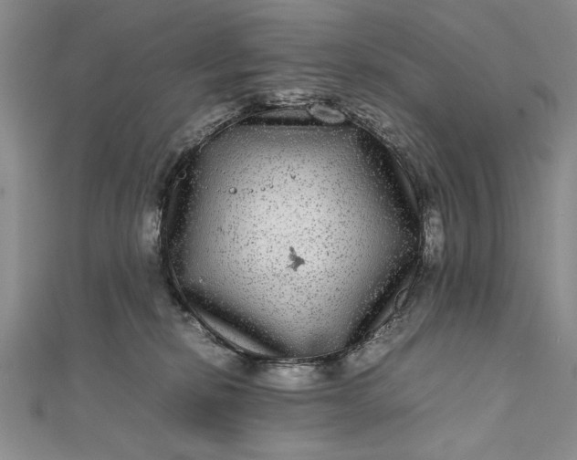 X0000111840278200908061259