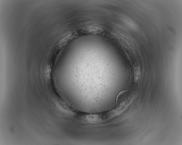 X0000111840279200908061259