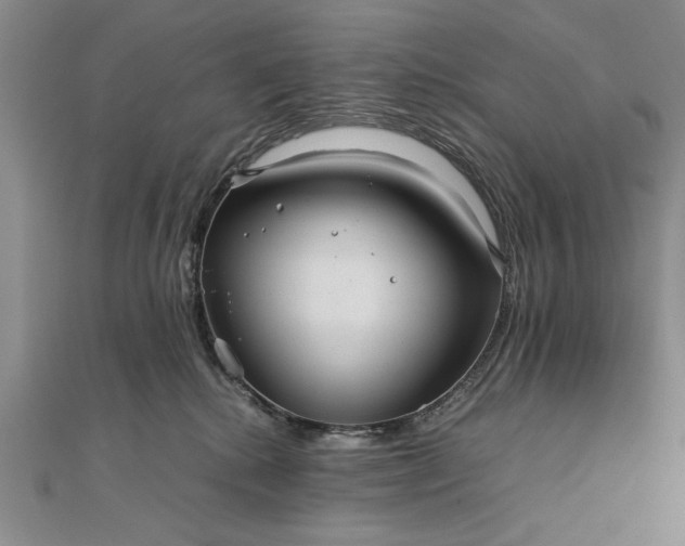 X0000111840280200908061259