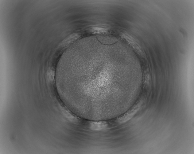 X0000111840281200908061259