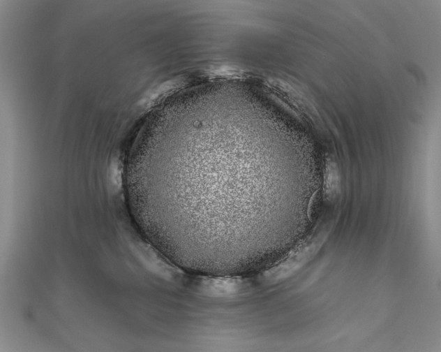 X0000111840282200908061300