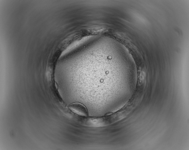 X0000111840283200908061300