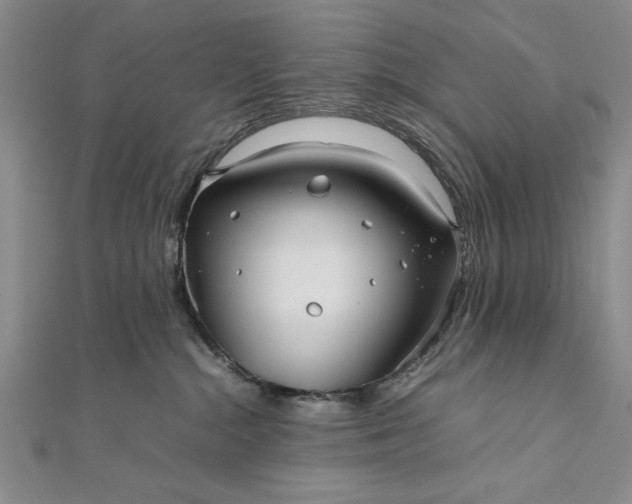 X0000111840284200908061300