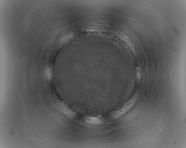 X0000111840285200908061300