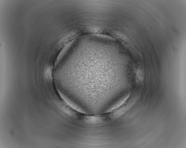 X0000111840286200908061300