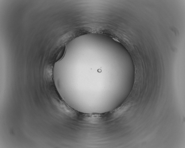 X0000111840288200908061300