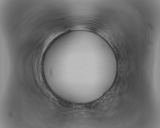 X0000111840289200908061259