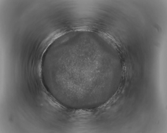 X0000111840290200908061259