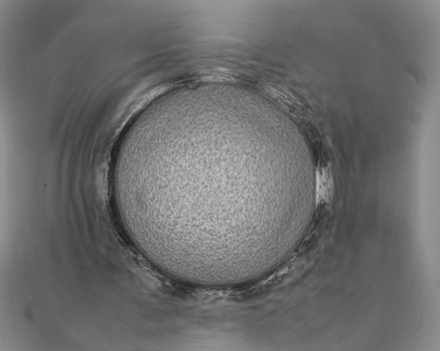 X0000111840291200908061259