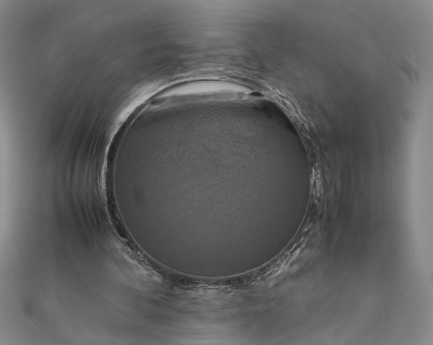 X0000111840292200908061259