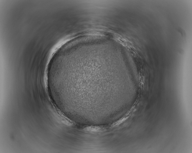 X0000111840294200908061259