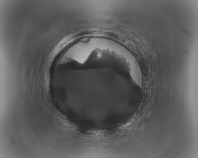 X0000111840295200908061259