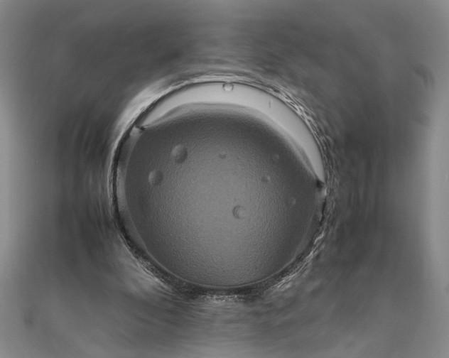 X0000111840296200908061259